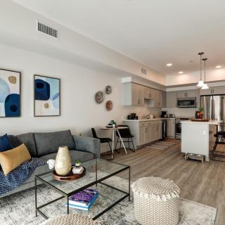 A modern open-plan living room and kitchen with stylish furniture and decor.