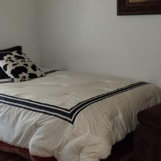 A neatly made bed with a patterned pillow in a cozy bedroom.