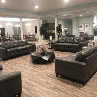 A spacious lounge featuring modern leather sofas, a central coffee table, and decorative plants on a hardwood floor.