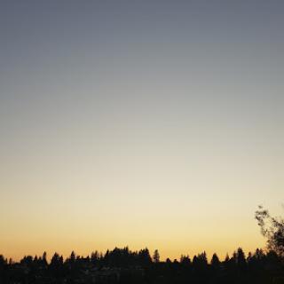 A serene sunset painting the sky with soft hues.