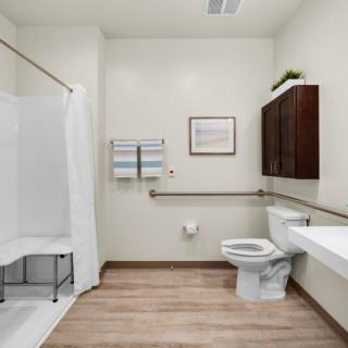 A modern, accessible bathroom with a shower, toilet, and safety grab bars.