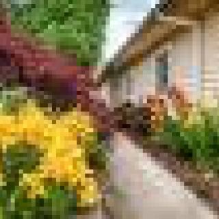 A beautifully landscaped garden with a pathway surrounded by vibrant flowers.