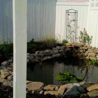 A tranquil garden pond with surrounding rocks and a white fence.