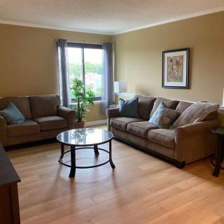 A cozy living room with two sofas, a glass coffee table, and a potted plant by the window.