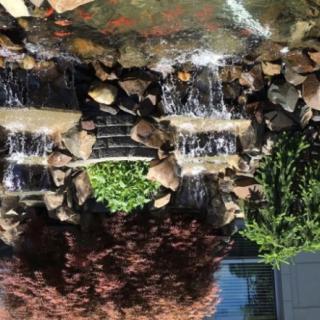 A picturesque garden waterfall with surrounding rocks and lush foliage.