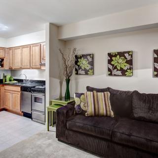 A cozy living room with an open kitchen featuring a dark sofa and stylish decor elements.