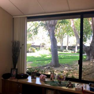 A serene view of a green outdoor area through an office window, showcasing trees and landscaped surroundings.