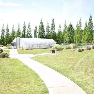 A serene outdoor garden with a greenhouse, surrounded by trees and a curved pathway.