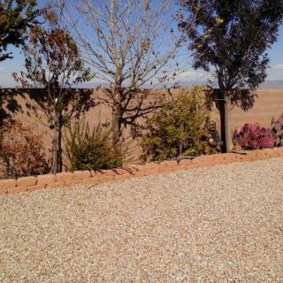 A serene landscape featuring a line of trees along a gravel path with a view of the desert beyond.