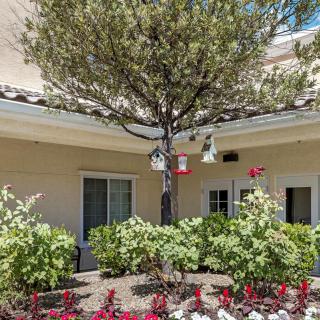 A lush garden with a tree, colorful flowers, and bushes in front of a house with windows.