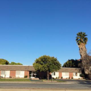 A suburban residential building with a palm tree under a clear blue sky.