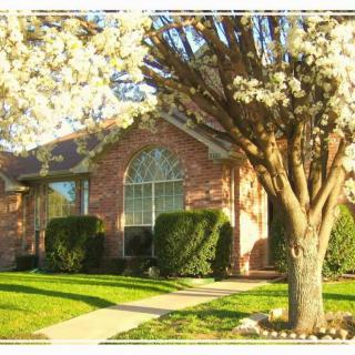 Sophyas Assisted Living