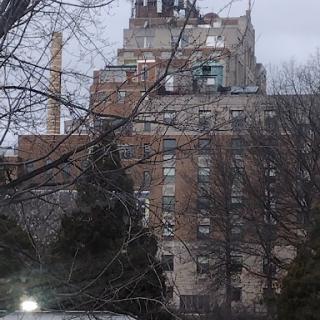 A historic building stands prominently amidst bare trees on an overcast day.