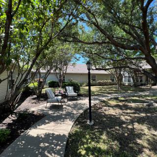 A tranquil outdoor garden with chairs under the shade of trees along a paved pathway.