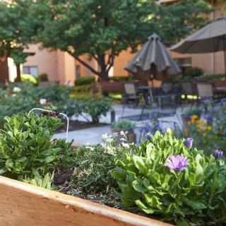 A tranquil garden patio with vibrant flowers and inviting seating.