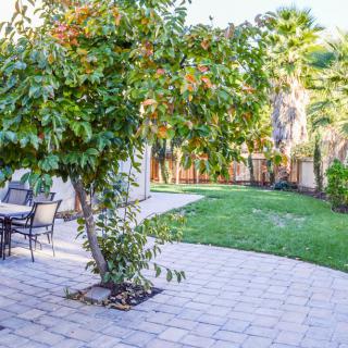 A sunny backyard with a patio, outdoor furniture, and lush greenery.