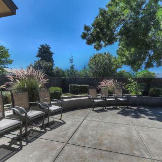 A sunny outdoor patio with chairs and potted plants, surrounded by trees.