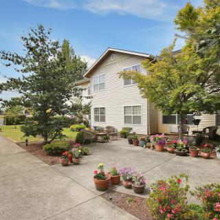 A suburban house with a driveway and a garden adorned with potted plants.