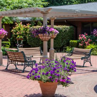 A serene outdoor courtyard adorned with vibrant flowers and inviting benches, perfect for relaxation.