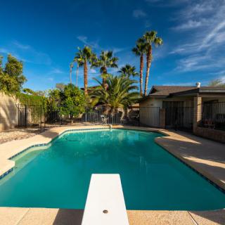A peaceful residential backyard featuring a swimming pool with a diving board, surrounded by palm trees.