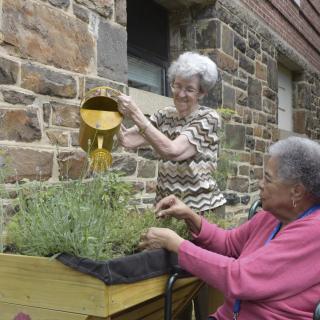 Two elderly individuals enjoying gardening together by watering plants in a raised bed.