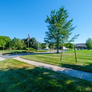 A sunny day in a park with a clear blue sky, featuring green grass, trees, and pathways.
