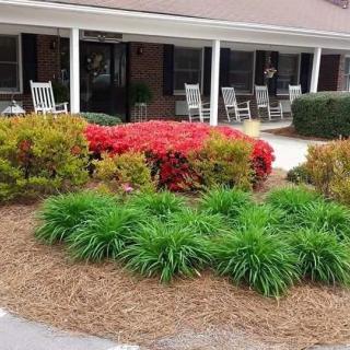 A beautifully landscaped garden featuring vibrant shrubs and a cozy porch with rocking chairs.