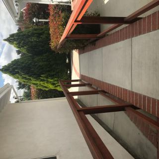 A sloped outdoor ramp with handrails leading through a garden area.