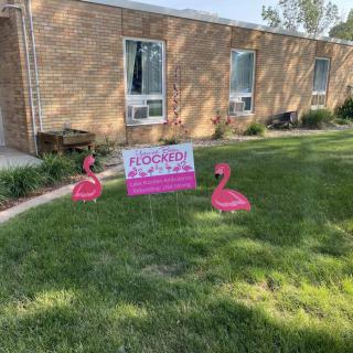 A lawn display with pink flamingos and a 'You Got Flocked' sign in front of a brick building.