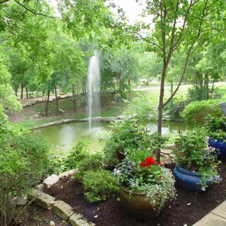 A serene garden with a central fountain surrounded by lush greenery and vibrant potted plants.