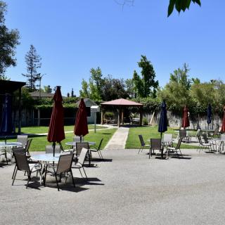 A sunny outdoor patio area with tables, chairs, and umbrellas surrounded by a garden setting.