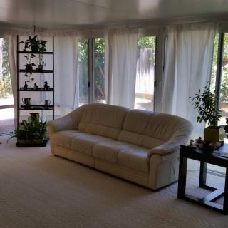 A cozy living room with a sofa, shelves of indoor plants, and large windows with curtains.