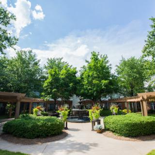 A serene garden landscape with lush greenery and clear blue sky.
