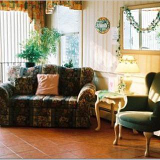 A cozy living room with a sofa, chair, and bright natural light.