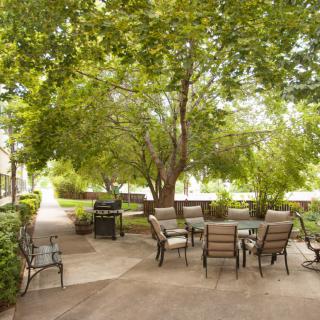 A serene outdoor patio with seating surrounded by lush trees and greenery.