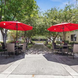 A cozy outdoor patio area with tables, chairs, and red umbrellas surrounded by greenery.