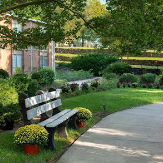 A serene garden path featuring a bench surrounded by lush greenery and colorful flowers.