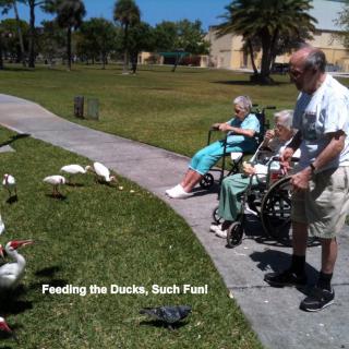 Seniors enjoying a day out by feeding ducks at the park.