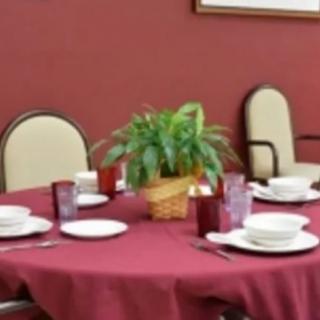 A dining table set for a meal with a red tablecloth and a plant centerpiece.