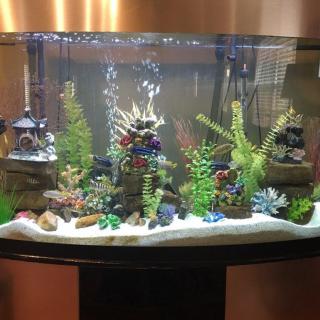 A beautifully decorated aquarium with various underwater plants and ornaments.
