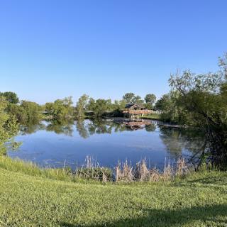 A serene view of a lake surrounded by lush greenery under a clear blue sky.