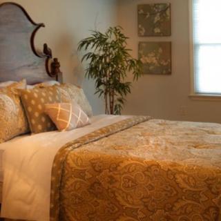 A cozy bedroom with a neatly made bed and decorative pillows, featuring a plant and artwork on the walls.
