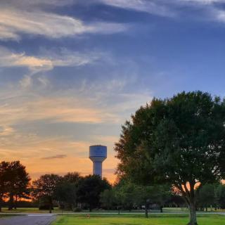 A picturesque sunset over a landscape with trees and a water tower.