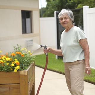 An elderly woman watering flowers in a garden.
