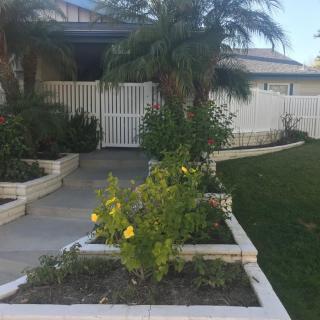 A suburban house with a well-maintained garden featuring palm trees and yellow flowers along a concrete walkway.