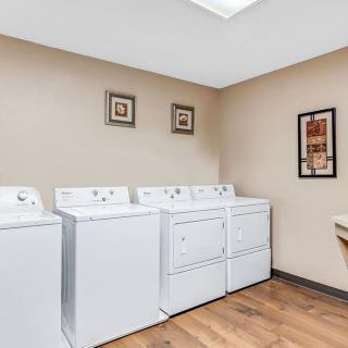 A tidy laundry room featuring multiple washers and dryers with framed artwork on the walls.