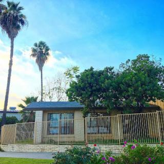 A charming residential home framed by palm trees and a clear blue sky.