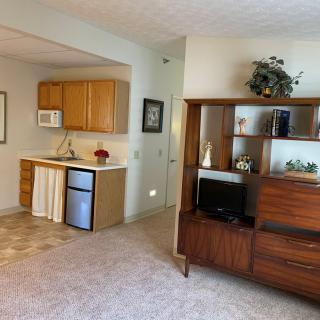 A cozy living room with a kitchenette, featuring a small TV on a wooden cabinet and a compact kitchen space with a mini fridge and microwave.
