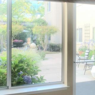 A view through a window overlooking a lush garden with various plants and outdoor seating.