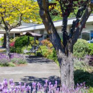 A beautiful garden with vibrant flowers and trees, featuring a house and a swing.